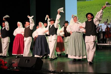 Ples in glasba izpod kamniških planin v izvedbi Folklorne skupine Kamnik in njihovih prijateljev  (14)